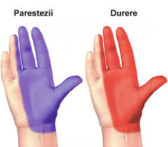 Dureri De Mana Dreaptă Chiar Deasupra Cotului Genunchi Dureri Simptome De Funcționare