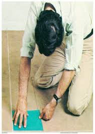 Bildergebnis für Shahin Afrassiabi