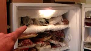 How To Prevent Ice Buildup In Freezer 7 Step Guide