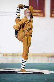 Grand Master Li (If I Remembered Correctly) Is More Than 80 Years Old, I  Only Wish I Can Still Take Photo With Heavy Lens/Camera At… | Shaolin  Monks, Wushu, Martial