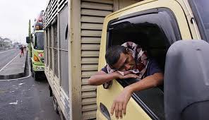 Pengalaman 1 tahun mengemudikan truk medium / besar tanggung jawab penanganan produk yang baik dan benar sehingga barang yang dikirim dalam kondisi sempurna… Berapa Penghasilan Supir Mobil Truk Galena