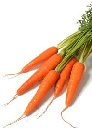 Image result for Daucus carota