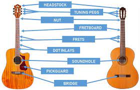 Guitar chord diagrams are the simplest and most intuitive way to illustrate where on the fingerboard you press the strings to play a chord. Parts Of The Guitar Diagrams For Acoustic And Electric Guitars Guitar Gear Finder