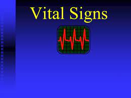 Here are five action steps all wedding planners can take that are a breeding ground for profitability: Vital Signs The Five Vital Signs N Level Of Responsiveness N Breathing N Pulse N Temperature N Blood Pressure Ppt Download
