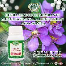 Ulam mata pelanduk (ardisia crispa) merupakan pucuk dari sejenis tumbuhan dari keluarga myrsinaceae yang tumbuh dinegara kita. Katalog Produk Hpa International Posts Facebook