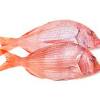 Di rempahkan bersama dengan serbuk paprika , serbuk bawang putih diramas dan disalut isi ikan dengan air perahan limau kuning / lemon dan mestega yang sudah di. 1