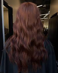 Dark copper brown 🤎🧡 • • Dm/text to book an appointment🤍 #hairstylist  #blonde #brondeblvdsalon #bronde #brondehair #redken #az #chandleraz  #brightblonde #haircut #chandler #chandlerhairstylist #goldwell #highlights  #hairgoals #partialhighlights ...