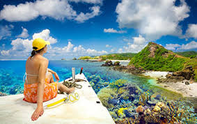 Ancient cultures, great beaches, excellent food, and more. Indonesia Travel Insurance Discount Travel Insurance Saver