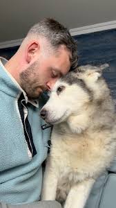 I just miss her so much!😭💖. #huskylife