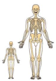 Giants Of Old Nephilim Human Giant Nephilim Giants Nephilim