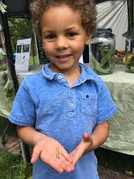 Catholic Ecology Center Blog