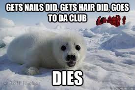 Clubbing Seal Memes Quickmeme
