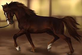 Star Stable Speedpaints Google Zoeken Star Stable Star Stable Horses Stables