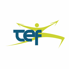 Tecnologia Empresa Formacion