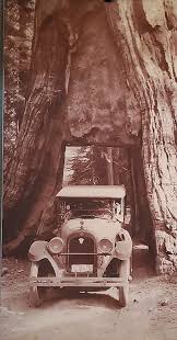 Maybe you would like to learn more about one of these? Downtown Visalia Gateway To Sequoia And Kings Canyon National Parks Park Ranger John