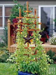 If left to their own devices, raspberries will form an arching plant about 7 to 9 feet tall. How To Build A Trellis Better Homes Gardens