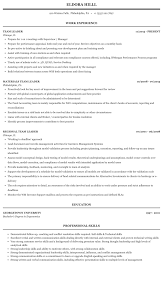 If you are writing a resume or cv for a team leader job, then you must pay attention to your objective statement. Team Leader Resume Sample Mintresume