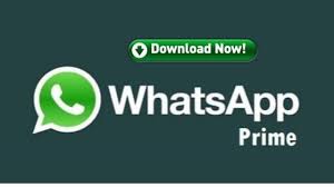 Currently, it is the only version of whatsapp that lets you video call. Whatsapp Prime Download Latest Version Apk Askmeapps