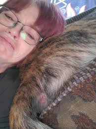 Evie jumped in a takeout bag and got painted