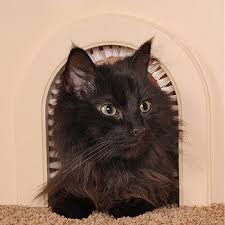 Smooth, wide opening allows your cat to pass through safely, without tails getting snagged or caught up. The 11 Best Cat Doors Of 2021 Interior And Exterior Cat Loves Best