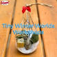 Tiny Winter Worlds Workshops event in Bowie, MD