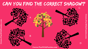 One don't require any maths or logical reasoning to solve these puzzles. Visual Brain Teaser For Adults With Answer