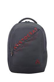 But the main reason that backpacks have become so popular is the comfort that they give to the user. Best Backpack Brands In India Comparison Aqsabags