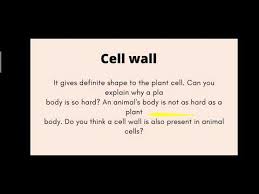 Check spelling or type a new query. Plant And Animal Cell Class 6 Chapter 1 Youtube