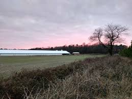 Explore the permits and more that make a 'mega' chicken farm in Kent County 