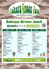 Image result for Euphorbia platyrrhiza