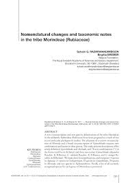 Image result for Morinda angolensis