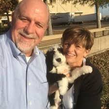 Sheepadoodle Puppy Otis