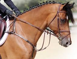 Hi everyone, this video is a step by step tutorial on how to make a horsehair bracelet…. How To Braid For Hunter Jumper Dressage Horse Journals