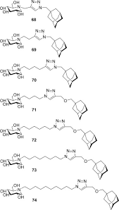 Image result for Angylocalyx boutiqueanus