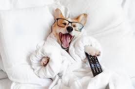 April 2021 und ist kein gesetzlicher feiertag in deutschland. 7ztu Wqeechzgm