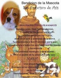 Biografia De San Francisco De Asis Resumen Corto Bendice A Los Animalitos Oracion De San Francisco San Francisco De Asis Francisco De Asis