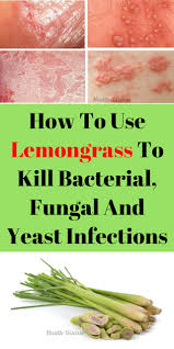 How To Use Lemongrass To Kill Bacterial Fungal And Yeast Infections Health Healthy Homere Yeast Infection Cure Yeast Infection Yeast Infection Prevention
