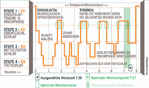 Datei Schlafphasen Hypnogramm Jpg Wikipedia