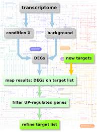 Frontiers Systematic Identification Of Anti Fungal Drug