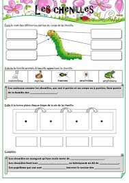 Les Petites Betes Du Jardin Avec Images Chenille Insectes La Chenille Qui Fait Des Trous