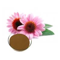 Echinacea: Natural Immune Support ...