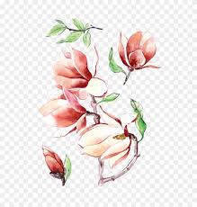Check spelling or type a new query. Temporary Tattoo Magnolia Tattoo Magnolia Flower Color Clipart 5165861 Pikpng