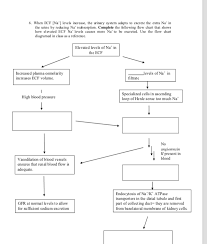 Solved Put The Terms Below Into The Correct Boxes To Desc