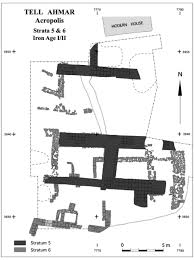 Ia boleh menyebabkan simptom yang serius, kecacatan kekal dan kematian jika tidak dirawat dengan segera. Assyrian Empire Building And Aramization Of Culture As Seen From Tell Ahmar Til Barsib