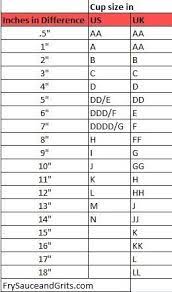 How To Measure Yourself To Find Correct Bra Size Correct Bra Sizing Bra Size Guide Bra Cup Sizes