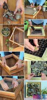Succulent Wall Art 12 Succulent Garden Diy Vertical Garden Diy Succulent Wall Art