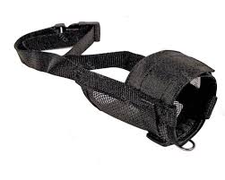 Résultat de recherche d'images pour "muselière chien"