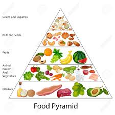 Education Chart Of Food Pyramid Diagram