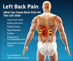 Left lower back pain can occur due to musculoskeletal conditions or may be related to internal organs. Simret Tekle Ane24591 Profile Pinterest
