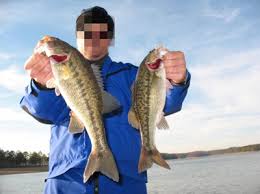Lake Allatoona - Complete Guide To Fishing Lake Allatoona In Ga